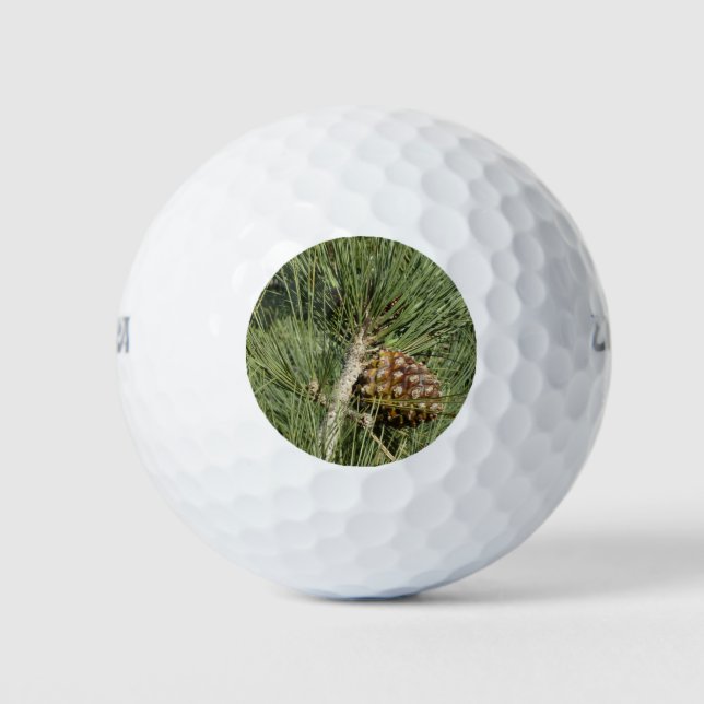 Balles De Golf Torrey Pine Closeup California Botanical (Devant)