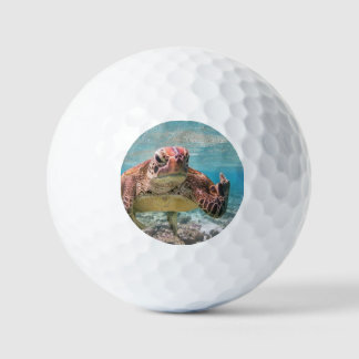 Balles De Golf Tortue en colère