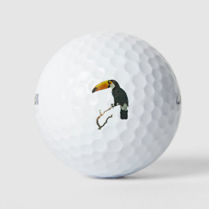 Balles De Golf Toucan Portrait Animal Tropical Bird Design