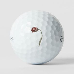 Balles De Golf Tulipe rose de Jean Bernard (1775-1883).