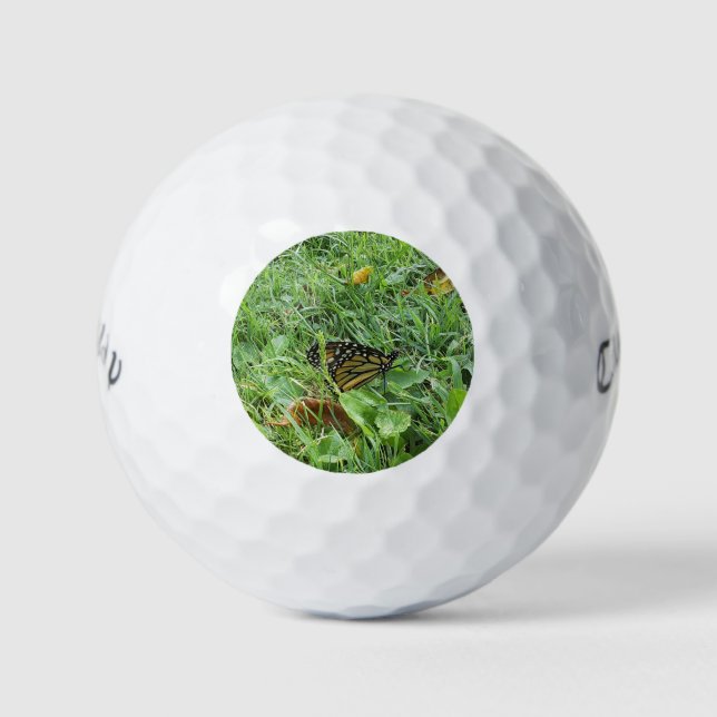 Balles De Golf Un papillon monarque (Devant)