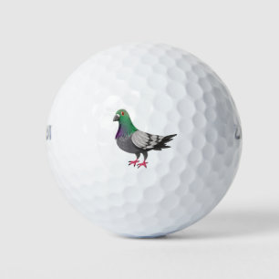 Balles De Golf Un pigeon
