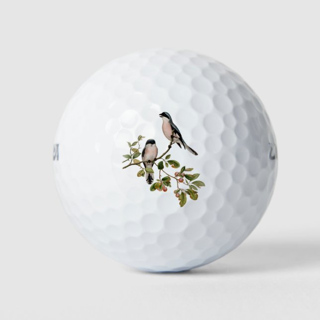 Balles De Golf Vintage de beaux oiseaux sur une branche (Devant)