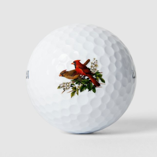 Balles De Golf Wilson 500 Balls de golf avec un Cardinal impressi (Devant)