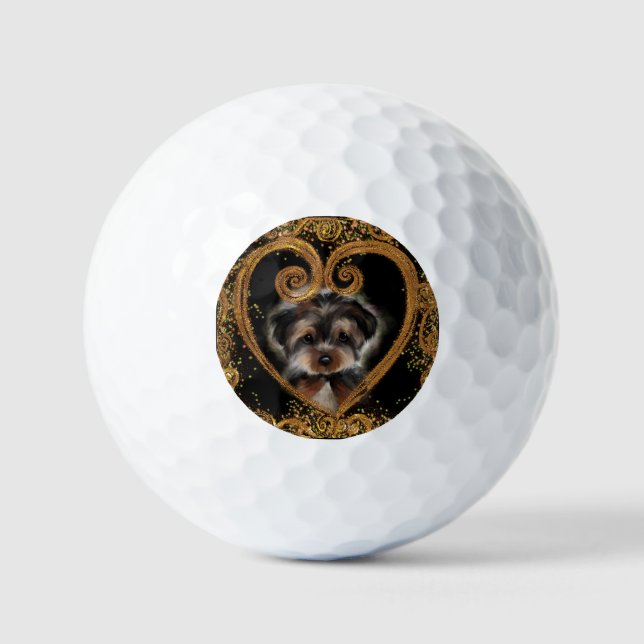 Balles De Golf Yorkie Poo (Recto)