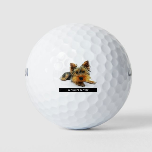 Balles De Golf Yorkshire Terrier (Devant)