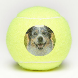 Balles De Tennis Ajouter une Personnaliser photo pour animaux domes