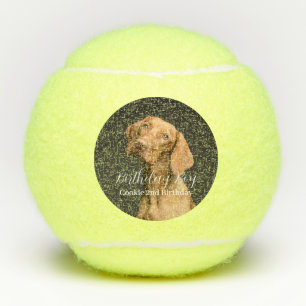 Balles De Tennis Anniversaire du chien moderne photo