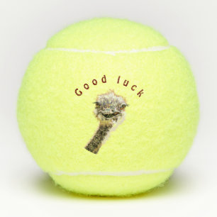 Balles De Tennis Bonne autruche - Bonne chance