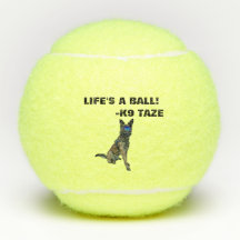 Boule de K9 Taze