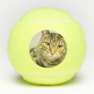Balles De Tennis Cat