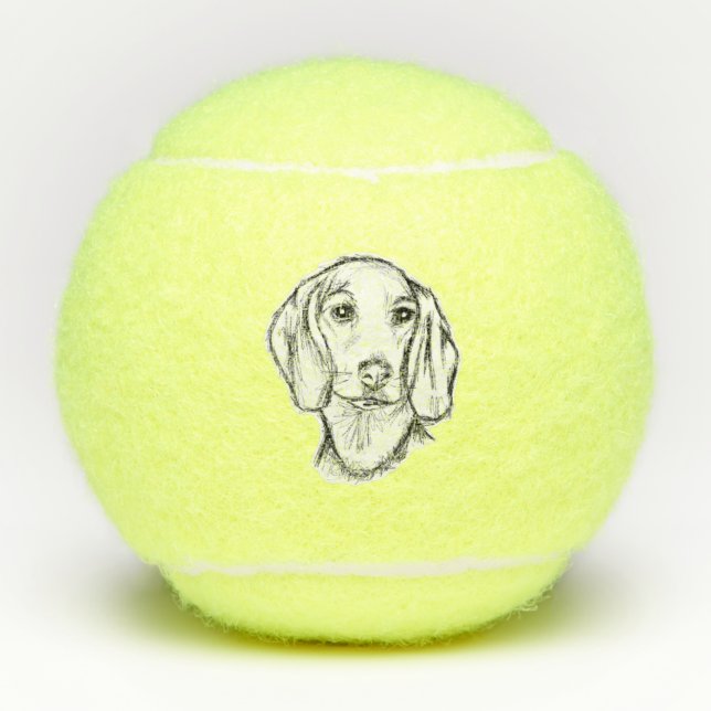 Balles De Tennis Chien-chien dragon (Devant)