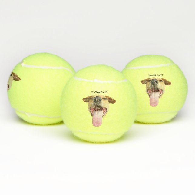 Balles De Tennis Custom Funny Wanna Jouer Chien (Multiple)