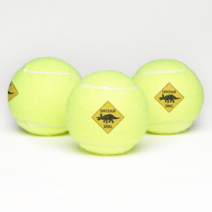 Balles De Tennis Dinosaur Xing