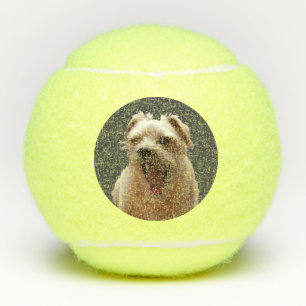 Balles De Tennis Drôle Photo Chien