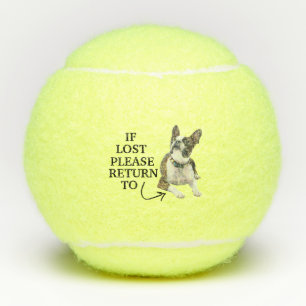 Balles De Tennis Drôle Si Perdu Retournez À La Photo Du Chien