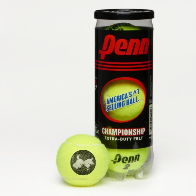Balles De Tennis duvet (Boîte)