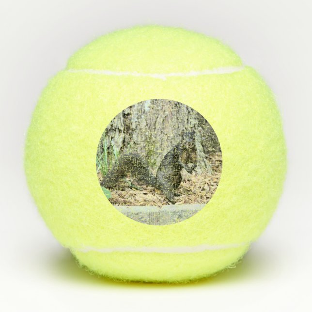 Balles De Tennis Écureuil (Devant)