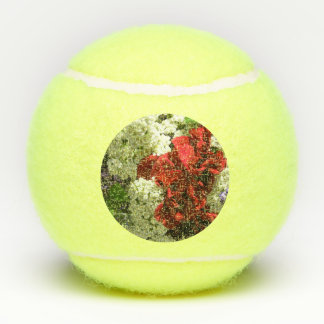 Balles De Tennis Fleurs de bouquet d'été