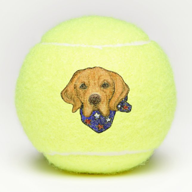 Balles De Tennis Golden Retriever (Devant)