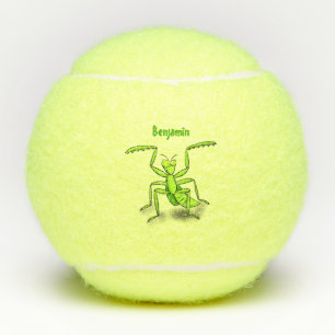 Balles De Tennis Illustration drôle de mante verte en prière