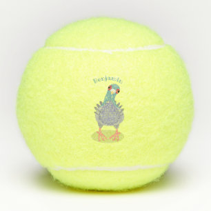 Balles De Tennis Illustration drôle de pigeon curieux