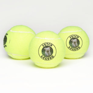 Balles De Tennis Légende de récupération