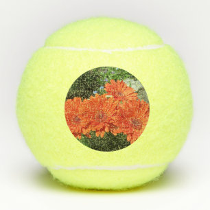 Balles De Tennis Orange Daisy Photo Tennis Ball