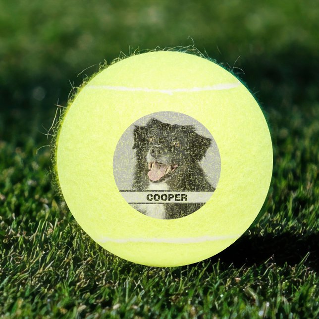 Balles De Tennis Personnalisé Joueur de tennis Photo Chien de compa (Your pet dogs new favorite dog ball. Complete with photo and name. Perfect for parks, beach and home)