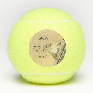 Balles De Tennis Photo Nosy et mignonne d'écureuil d'arbre