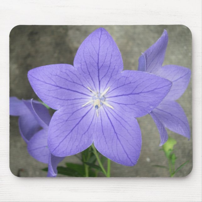 Ballon-Blume Mousepad (Vorne)