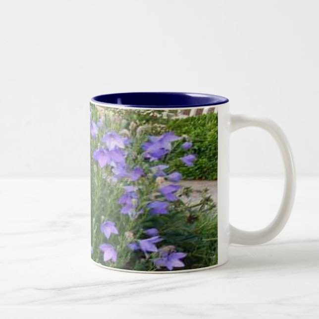 Ballon-Blumen Zweifarbige Tasse (Rechts)