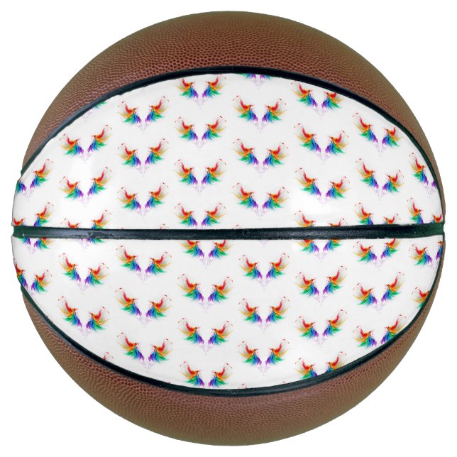 Ballon De Basket Ailes fluffy arc-en-ciel (Devant)