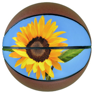 Ballon De Basket Basket-ball de tournesol jaune