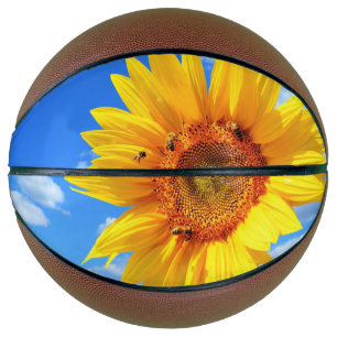Ballon De Basket Basket-ball tournesol et abeilles