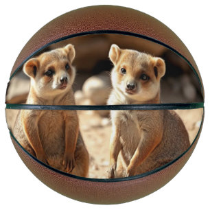 Ballon De Basket Jumeaux Quokka australiens