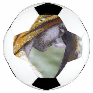 Ballon De Foot A Tiré Un Interlude Calme