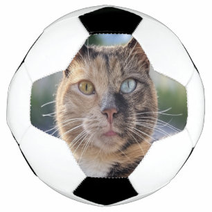 Ballon De Foot Ajouter une Personnaliser photo de chat