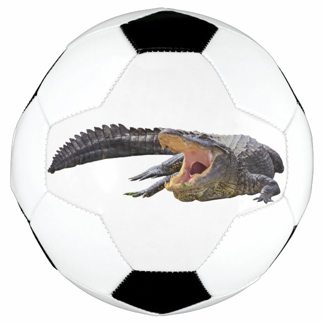 Ballon De Foot Alligator américain - Faune de Floride (Devant)