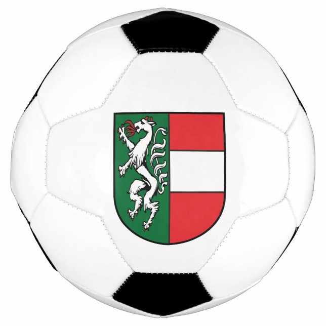 Ballon De Foot Armoiries de la Styrie (Devant)