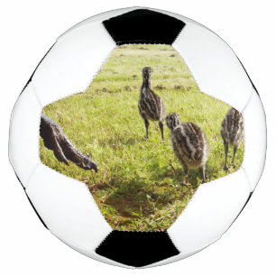 Ballon De Foot Bébé Emu Chicks Et Big Foot,