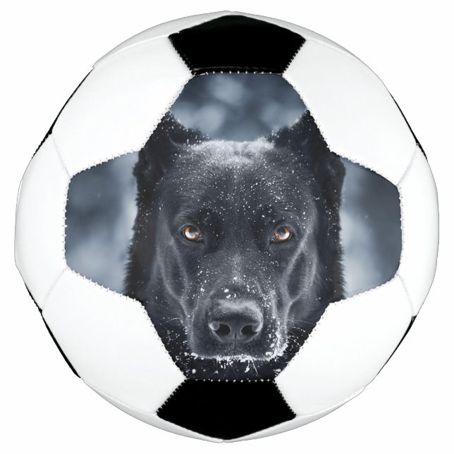 Ballon De Foot Black German Shepherd (Devant)