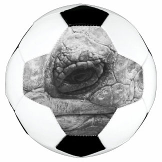 Ballon De Foot BW Tortoise