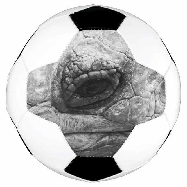 Ballon De Foot BW Tortoise (Devant)