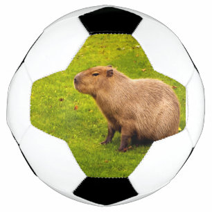 Ballon De Foot Capybara