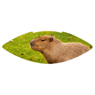 Ballon De Foot Capybara