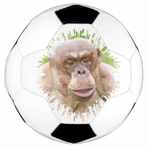 Ballon De Foot Chimpanzé sans cheveux
