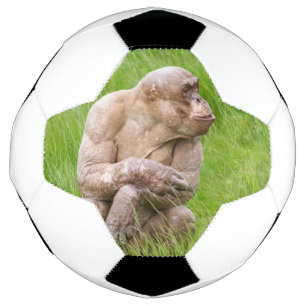 Ballon De Foot Chimpanzé sans cheveux
