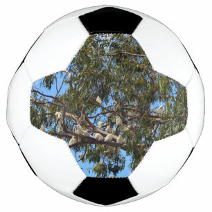 Ballon De Foot Cockatoos de Wild White Australian