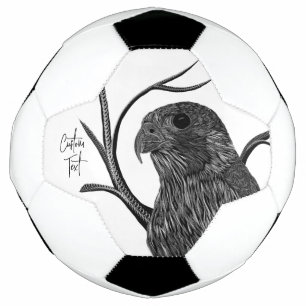 Ballon De Foot Faucon pèlerin dans les branches de l'arbre avec é
